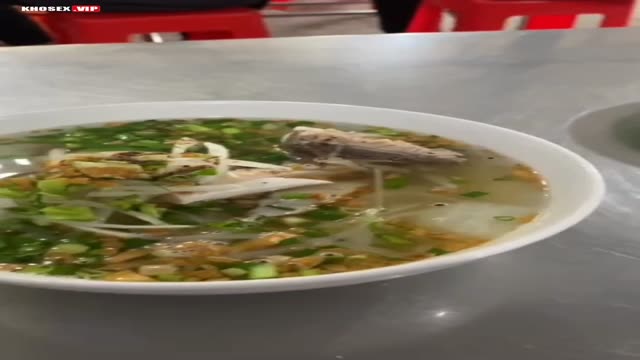 Cặp đôi du lịch Phú Quốc chịch từ trong rừng cho tới khách sạn